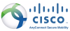 Cisco Any Connect icon